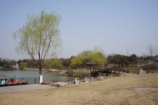 圖片關(guān)鍵詞