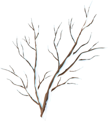 圖片關(guān)鍵詞