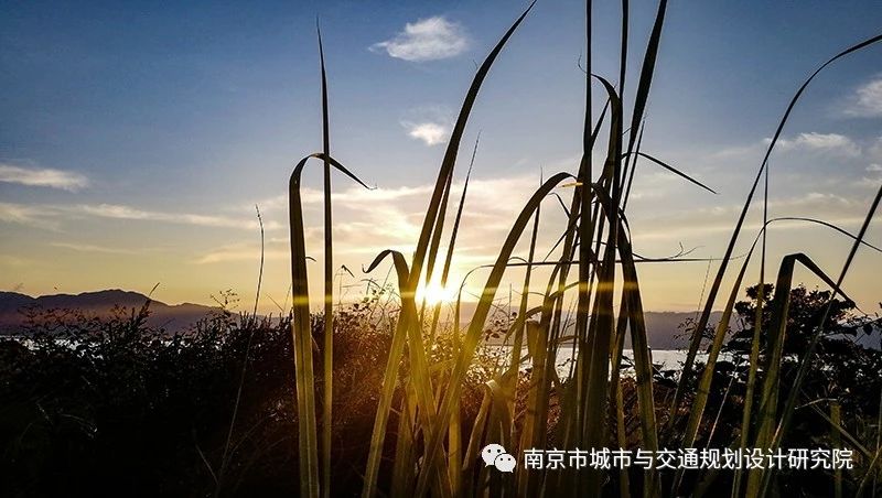 1581304334822767.jpg 16.jpg