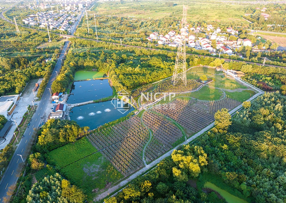 1702430057560058.jpg 06-2苗木轉型.jpg